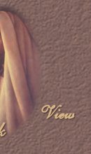 Want to view the comments about this site?