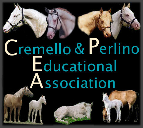 Cremello and Perlino Educational Association: Click image to enter website
