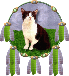 Thank you Janet for this lovely gift