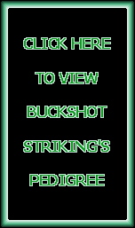 Buckshot Striking's Pedigree