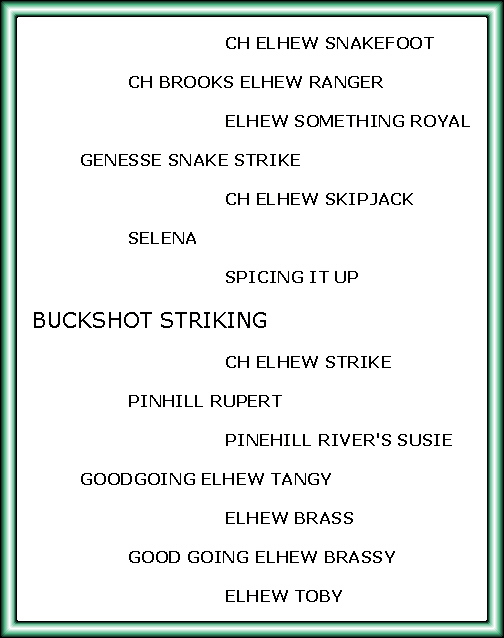 Buckshot Striking's Pedigree