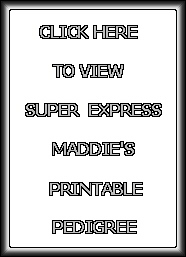 Super Express Maddie's Printable Pedigree