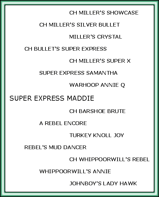 Super Express Maddie's Pedigree