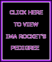 Ima Rocket's Pedigree