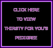 Thirsty For You's Pedigree