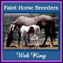 Paint Horse Breeders WebRing