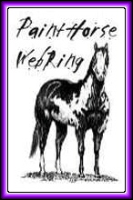 Paint Horse WebRing