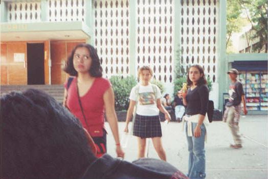 aam.jpg (31311 bytes)