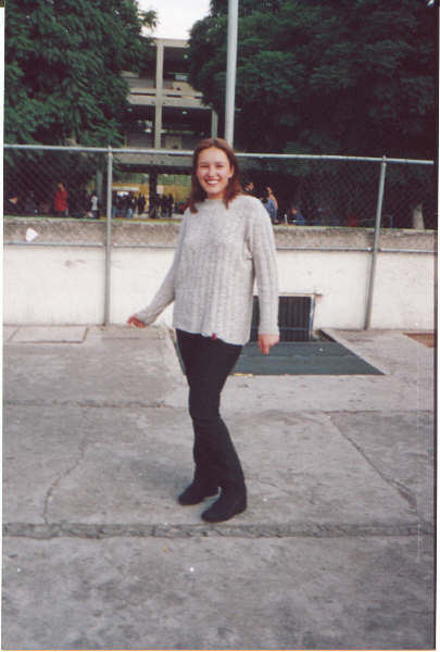 al1.jpg (33200 bytes)