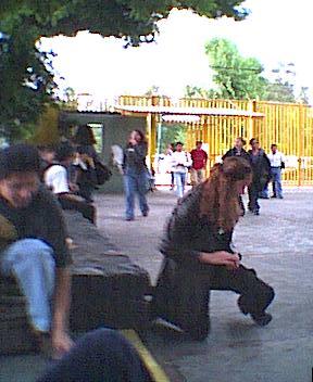 aurora4.jpg (24217 bytes)