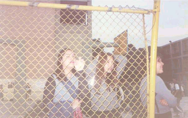 dianayana.jpg (41288 bytes)