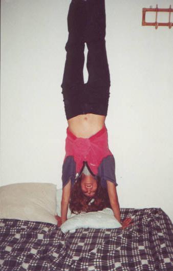 iris_de_cabeza.jpg (22031 bytes)