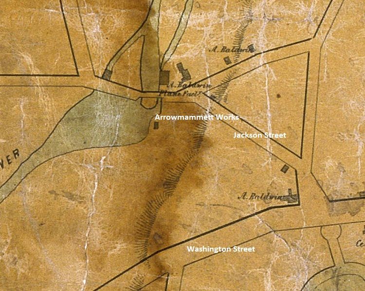 Arrowmammett8.jpg (187602 bytes)