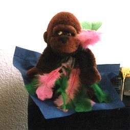 ta for the feathers...