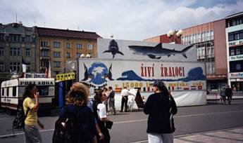 We weren't warned about Czech marine life, as its landlocked!