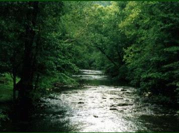 Ritual Pool of Spring Water