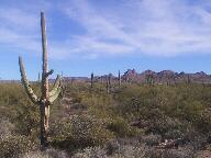 Apache Trail Scenic Byway Wallpaper Thumbnail