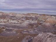 Petrified Forest National Park Wallpaper Thumbnail