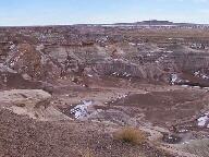 Petrified Forest National Park Wallpaper Thumbnail