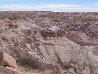 Petrified Forest National Park Wallpaper Thumbnail