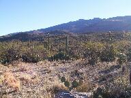 Saguaro National Park Thumbnail