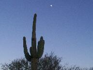 Saguaro National Park Thumbnail