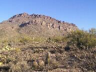 Tucson Mountain Park Thumbnail