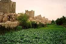 A section of the Theodosian Land walls, crops are being raised in sections of the moat