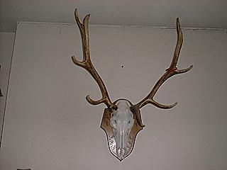 kihunt1.JPG (8472 bytes)