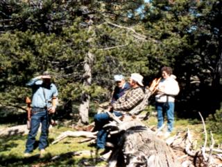 shoot3.JPG (24690 bytes)