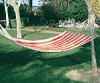 Striped Pattern Hammock