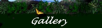 gallery.jpg (11433 bytes)