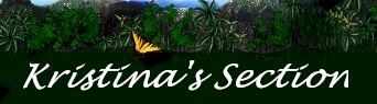 kristinas.jpg (14001 bytes)