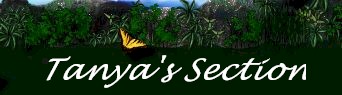 tanyas.jpg (13216 bytes)