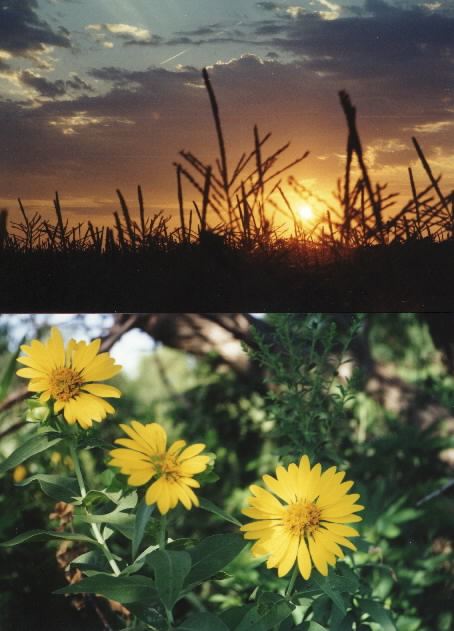 August 1999 Monthly Photograph