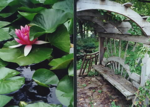 September 1999 Monthly Photograph