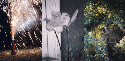 Fireworks, Flower, Whitewater River