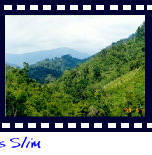 Forested area and hills of Pos Slim