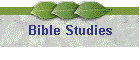 Bible Studies