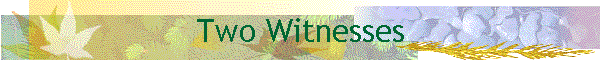 Two Witnesses