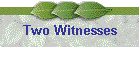 Two Witnesses