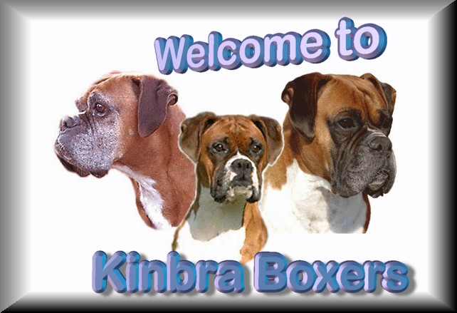 L-R C.J., Naya & Jake