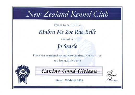 Zoe - Canine Good Citizen