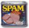 SPAM