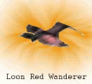 (c)Loon Red Wanderer 2001