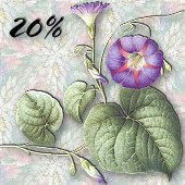 Morning Glory Corner tub