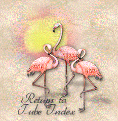 Return to Tubes Index