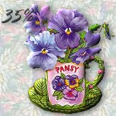 Teacup Pansies tub