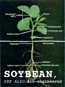 water me or I shall be forced to growL