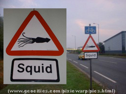 ooh- look at ALL those squid...